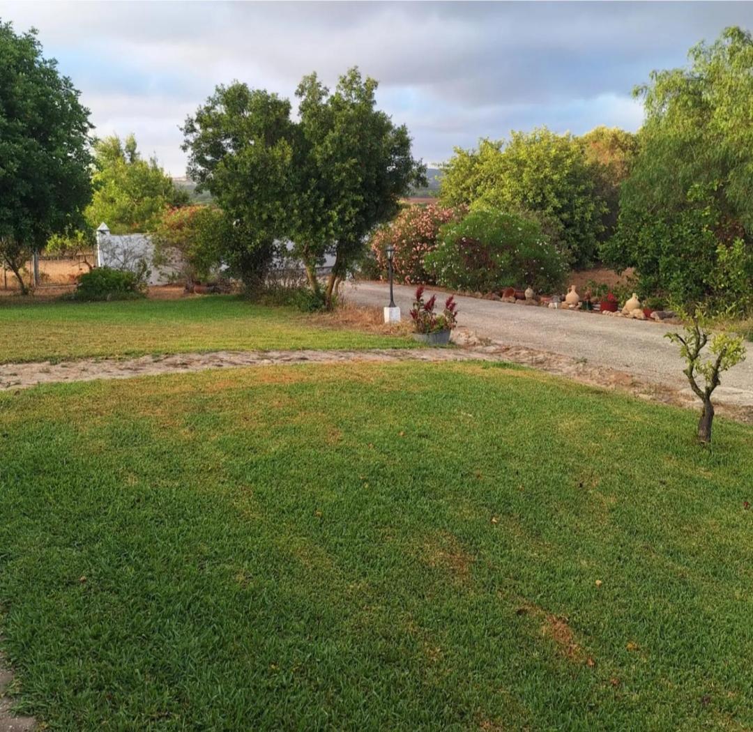El Nino Santamaria , Con Piscina Y Wifi Holiday home *